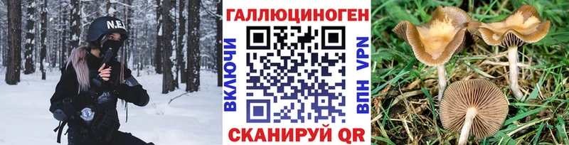 Галлюциногенные грибы GOLDEN TEACHER  где купить наркоту  ссылка на мегу tor  Дятьково 